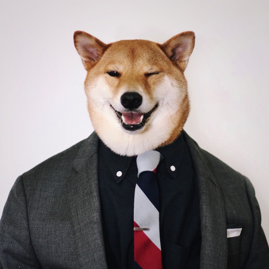 Menswear Dog Book | The Coolector