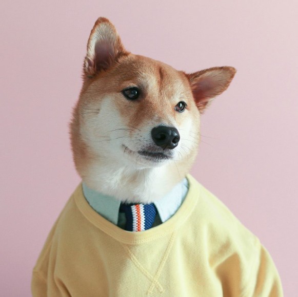 Menswear Dog Book | The Coolector