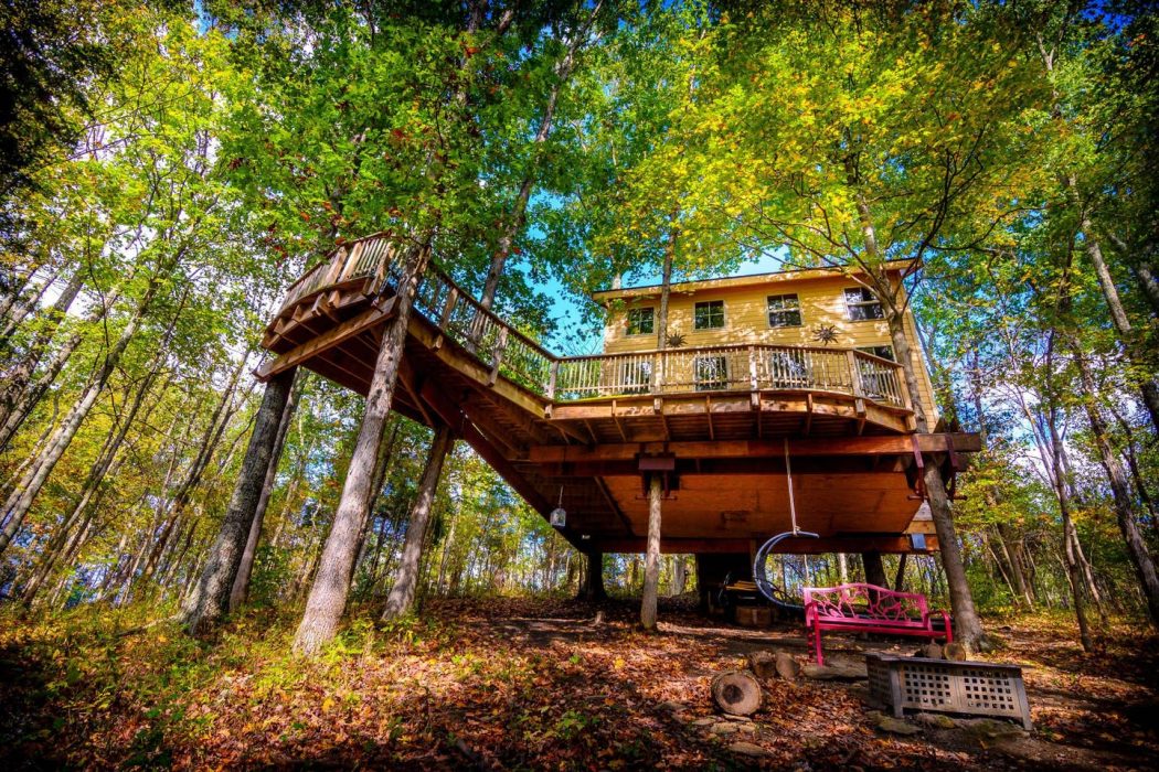 air b and b treehouse