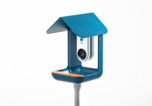 bird buddy feeder