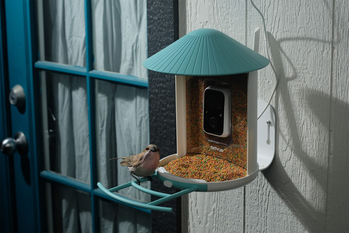 Birdfy AI Recognition Bird Feeder Camera | The Coolector